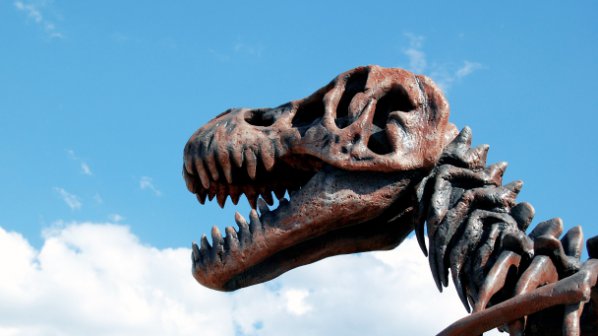 САЩ връщат на Монголия скелет на динозавър