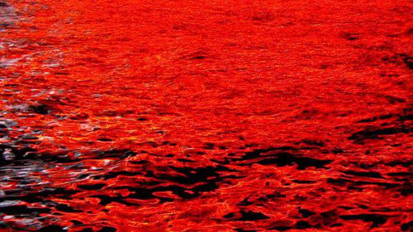 Азовско море стана кърваво червено