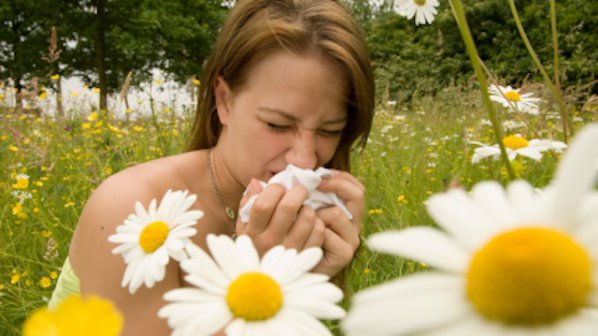 Бум на алергиите ни очаква през септември