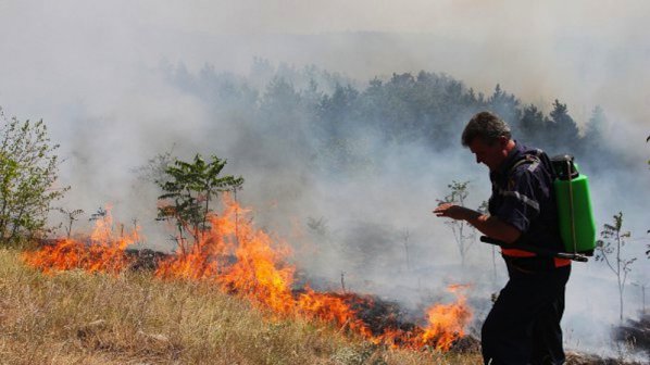 3000 декара изпепели пожара край Белица