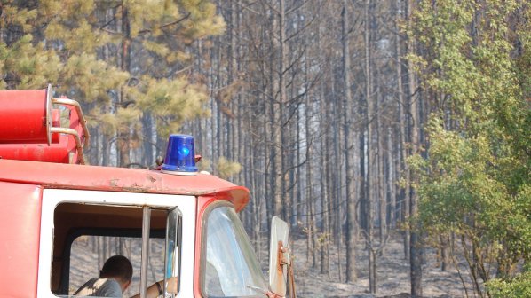 Огромен пожар бушува в горите край Брезник
