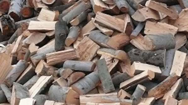 Нова система за добив на дървесина ще бори спекулата с високите цени на дървата