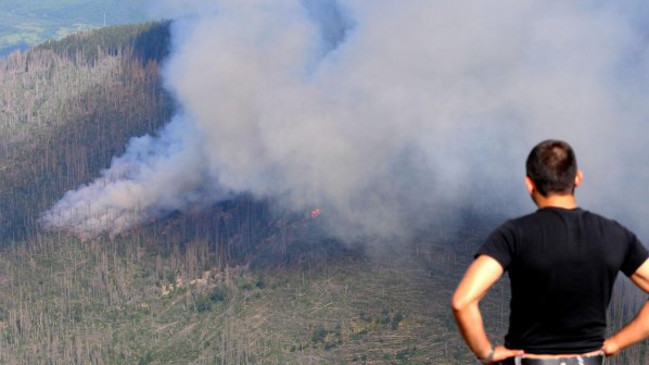Пожар гори над Костенец