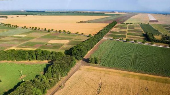 Стриктни условия за чужденците, които купуват земеделска земя в Румъния