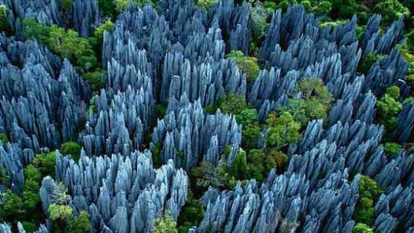Каменната гора в Мадагаскар