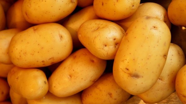От БАБХ спряха вноса на 40 тона картофи от Полша