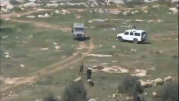 Израелски войници изнасилили палестинска овца (видео)