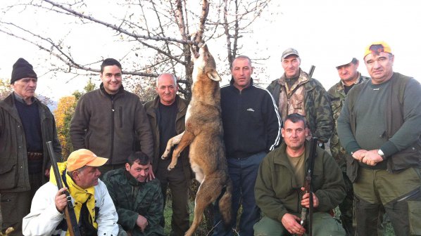 Ловец уби рекордно дълъг вълк