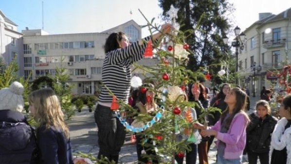 Булевард на елхите изникна за Коледа на площада в Разлог