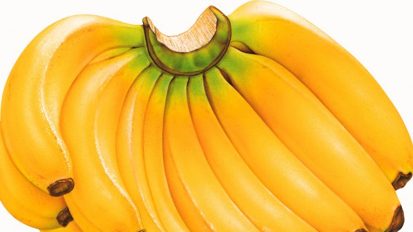 Шведски банани с 20 кила кока са хванати във Финландия