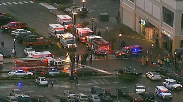 Трима убити при стрелба в американски мол