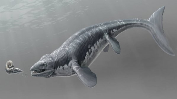 Откриха останки от древно морско чудовище