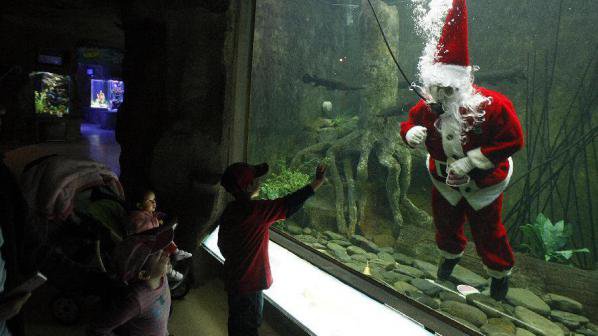 Подводен Дядо Коледа в зоологическа градина в Мексико (снимки)