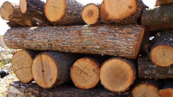 Конфискуваха незаконно изсечен дървен материал