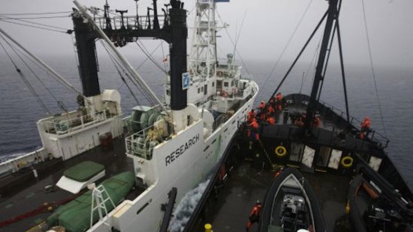 Война в морето: Ловци на китове срещу екоактивисти