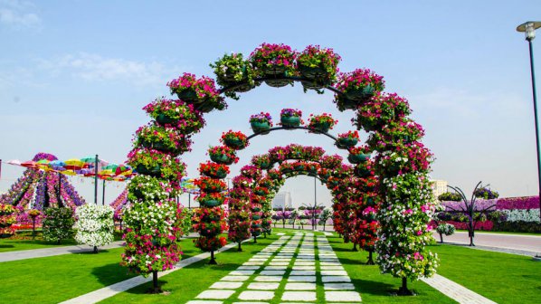 В Дубай откриват парк с 45 милиона цветя (галерия)