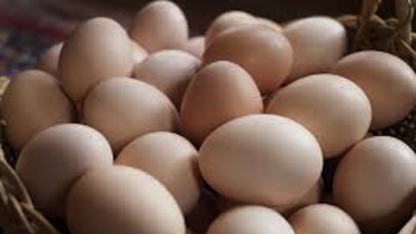 Цената на яйцата остават без промяна