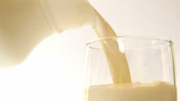 Отровно мляко е попаднало в магазинната мрежа