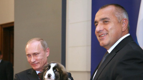 Кучето на Путин, подарено от Бойко Борисов, чака кученца