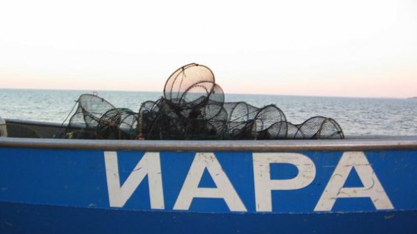 Иззеха 26 кг незаконна риба