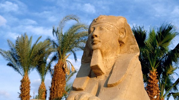 В древен Египет присаждали успешно глави