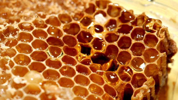 Френският парламент започва производство на мед