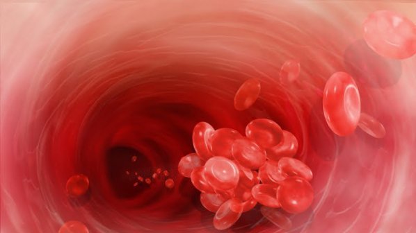 17 април е Световен ден на хемофилията