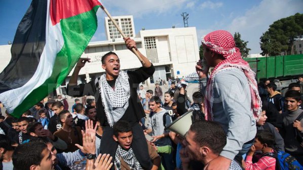 Близо 700 палестинци са избягали в Ивицата Газа