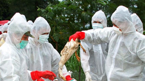 Броят на болните от H7N9 в Китай достигна 129 души