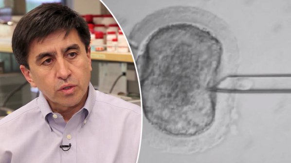 Клонираха човешки стволови клетки за пръв път
