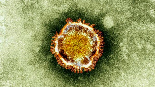 Смъртоносен азиатски вирус кацна във Франция
