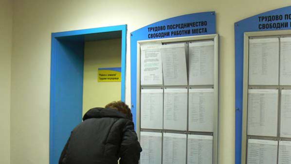 12 безработни напират за едно място в Северозападна България
