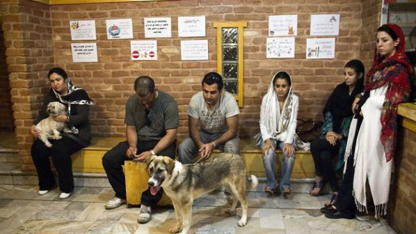 В Иран забраниха любовта към домашните животни