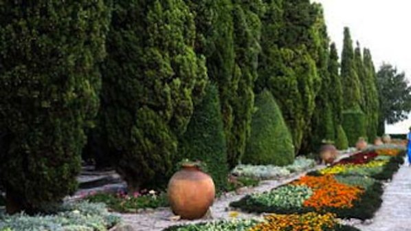 Фекалният теч в Ботаническата градина убива ценни растения