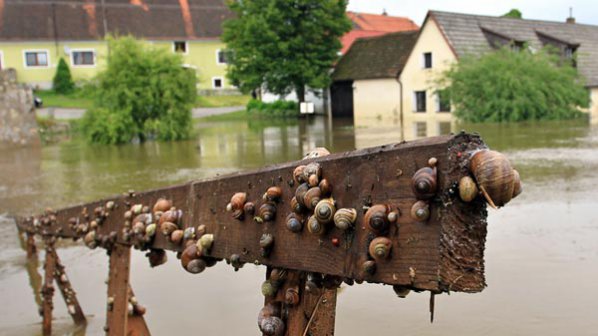 Наводненията в Европа затихват