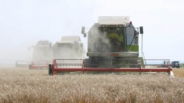 Започна жътвата на пшеницата в Силистренско
