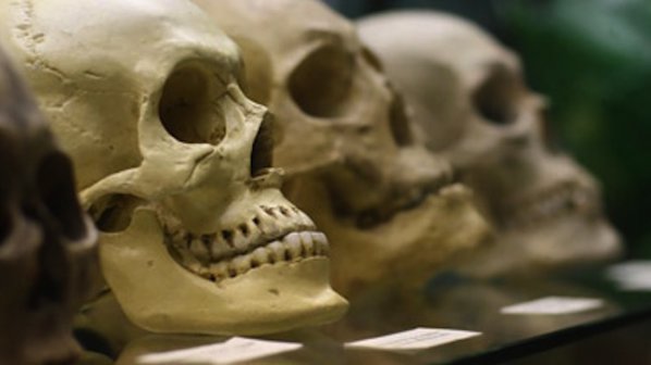 Откриха череп на бял мъж в Австралия датиран век преди откриването на континента