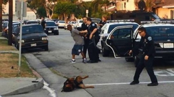 Полицай застреля куче, опитало се да защити собственика си (видео)