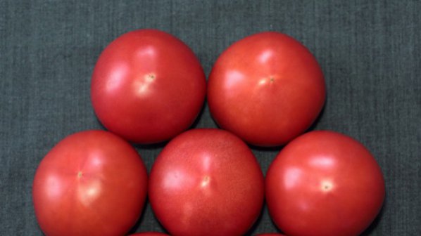 Спряха от продажба 10 тона некачествени домати