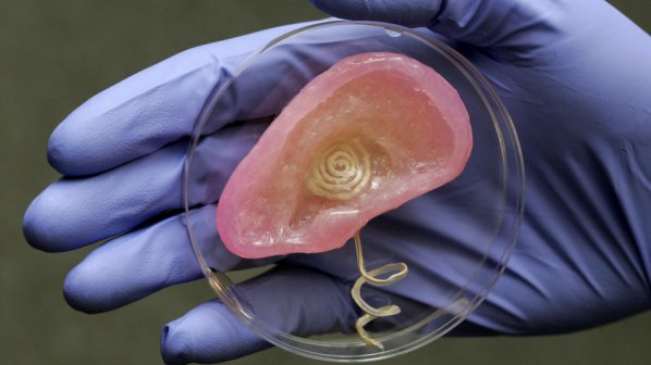 Учени създадоха бионично ухо