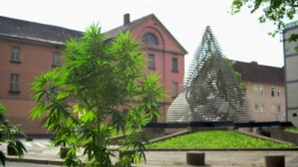 Протестна марихуана никне из немски град