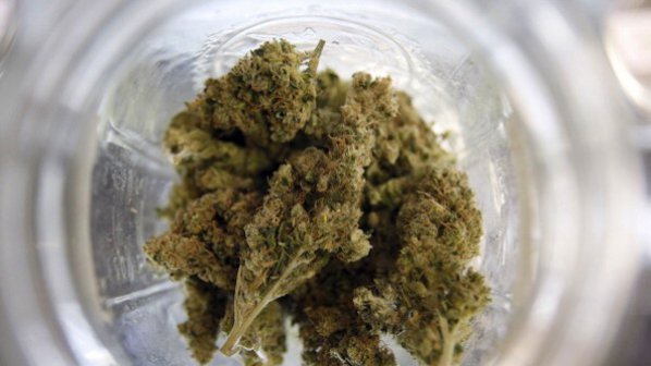 Конфискуваха марихуана и хероин в Кърджали