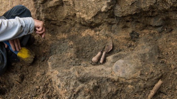 Откриха скелет на кит, живял пред 15 млн. години