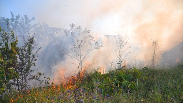 Потушиха големия пожар в Мурсалево
