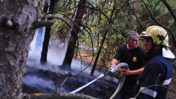 Ликвидирани са над 200 пожара в страната