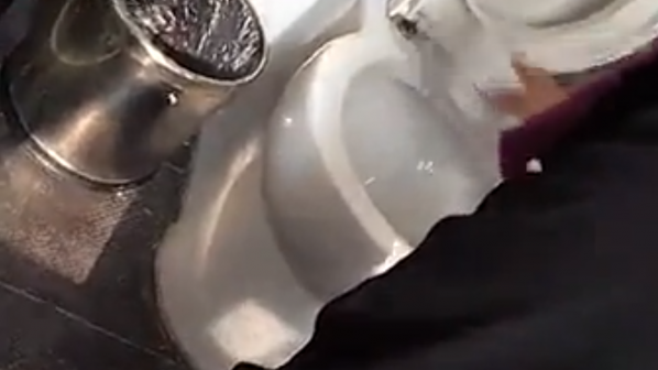 Камериерка чисти тоалетна с кърпи за лице (видео)