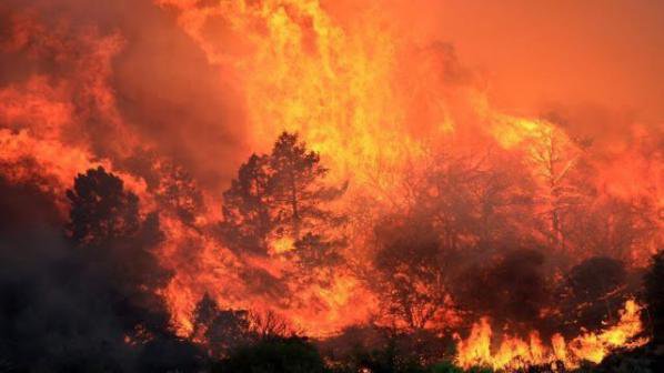 Горският пожар в северната част на Калифорния е частично локализиран