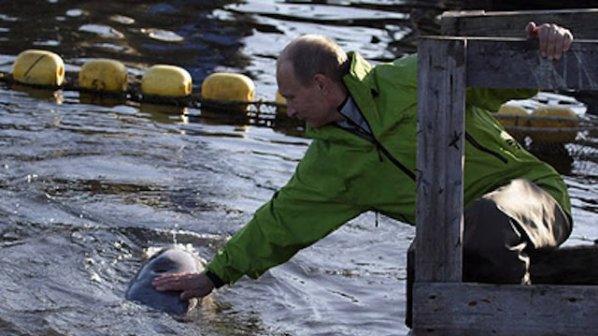 Путин нахрани делфините във Владивосток