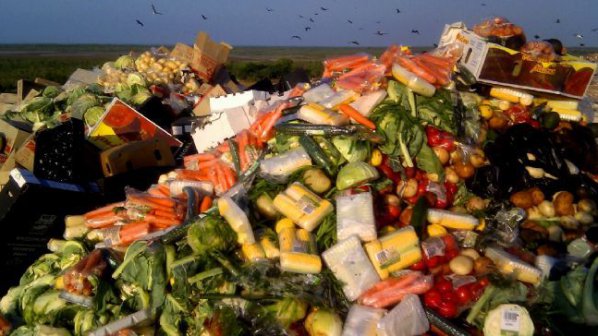 Всяка година по света се изхвърля над 1 млрд. тона храна