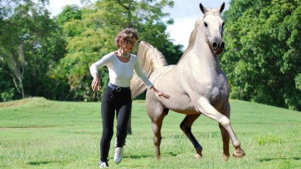 Американски съд решава дали конете са &quot;зли по природа&quot; животни